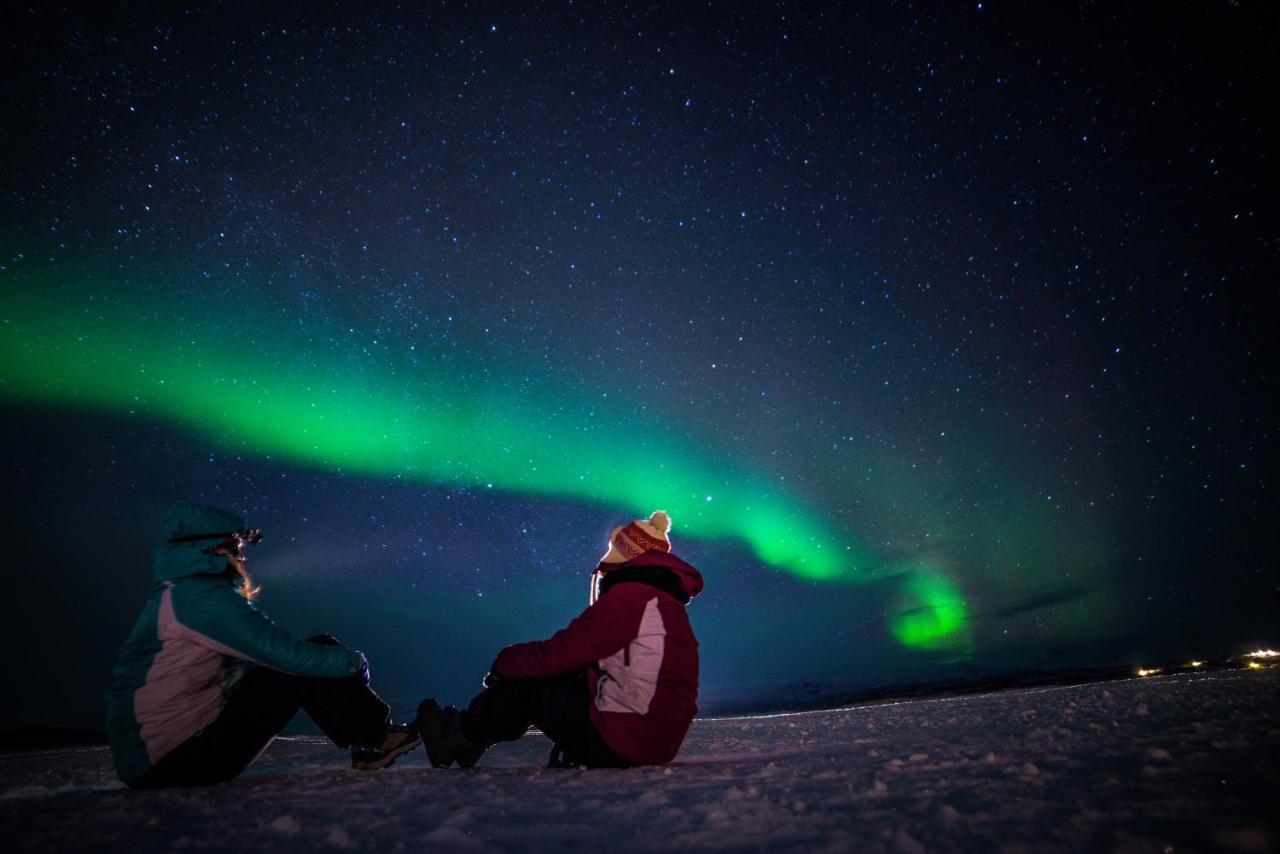 Aurora Glamping By The Whales Hotel Skjervoy Exterior photo